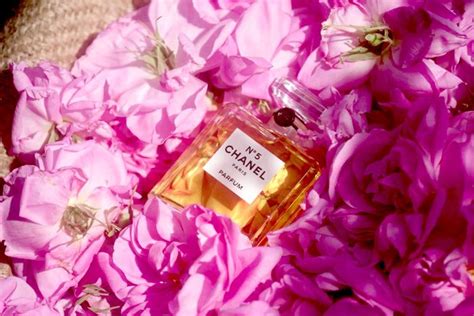 flower in chanel no 5|Chanel no 5 rose.